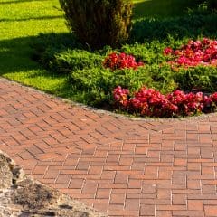 A brick pathway intersects near a vibrant flowerbed with red blossoms and lush greenery. Surrounding the path and flowers is a well-manicured lawn. The scene is bathed in warm sunlight, creating a peaceful garden setting.