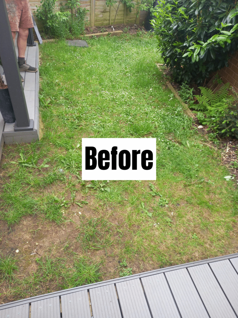 A patchy and uneven grassy backyard with some overgrown areas, edged by plants and a fence. A person stands partially visible on a porch. A large sign with the word “Before” is centered on the lawn.