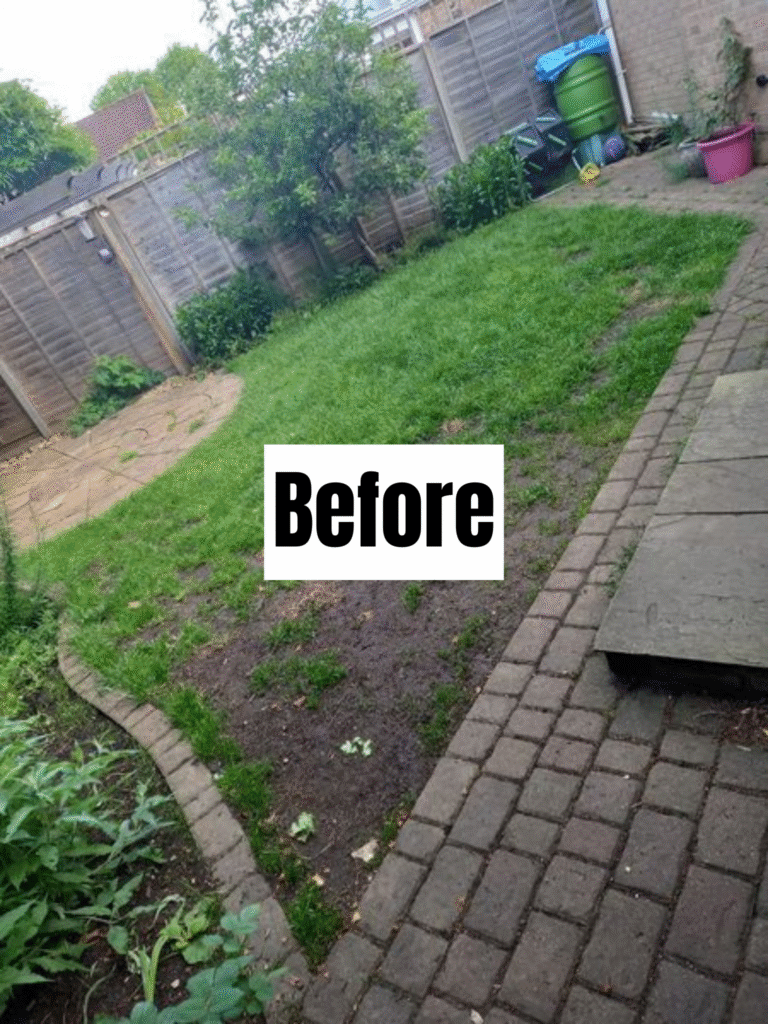 Backyard with patchy grass, some bare spots, brick patio, and fenced perimeter. Green plants and a tree are visible. A large "Before" label is centered on the image.