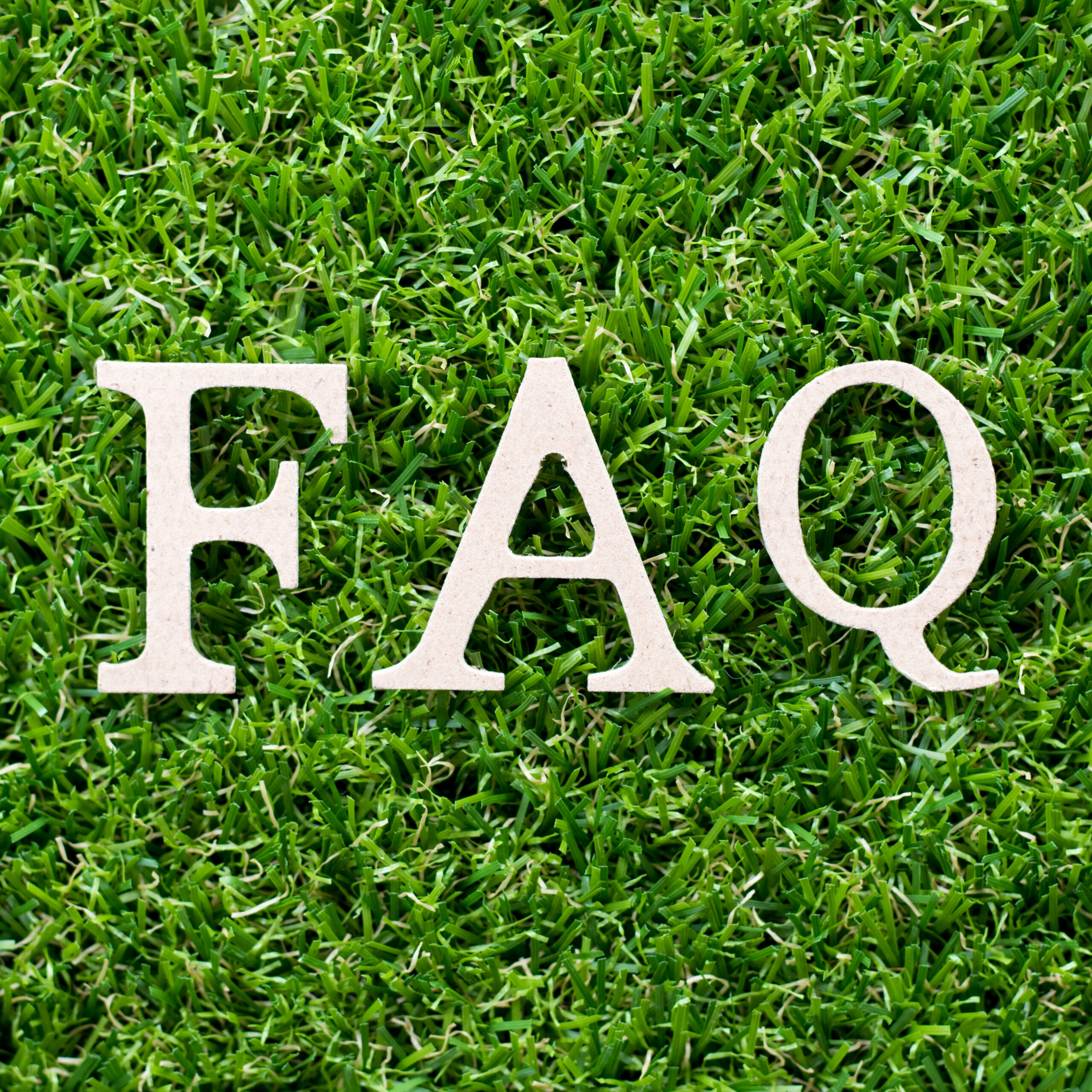 The letters "FAQ" in large, white capital letters are placed on a background of green grass.
