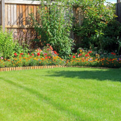 A well-maintained backyard garden with a vibrant green lawn, colorful flower beds along the wooden fence, and lush green shrubs and plants on a sunny day.