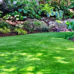 A lush, green lawn with dappled sunlight is bordered by rocks, shrubs, and various leafy plants and flowers, creating a vibrant, well-maintained garden scene.