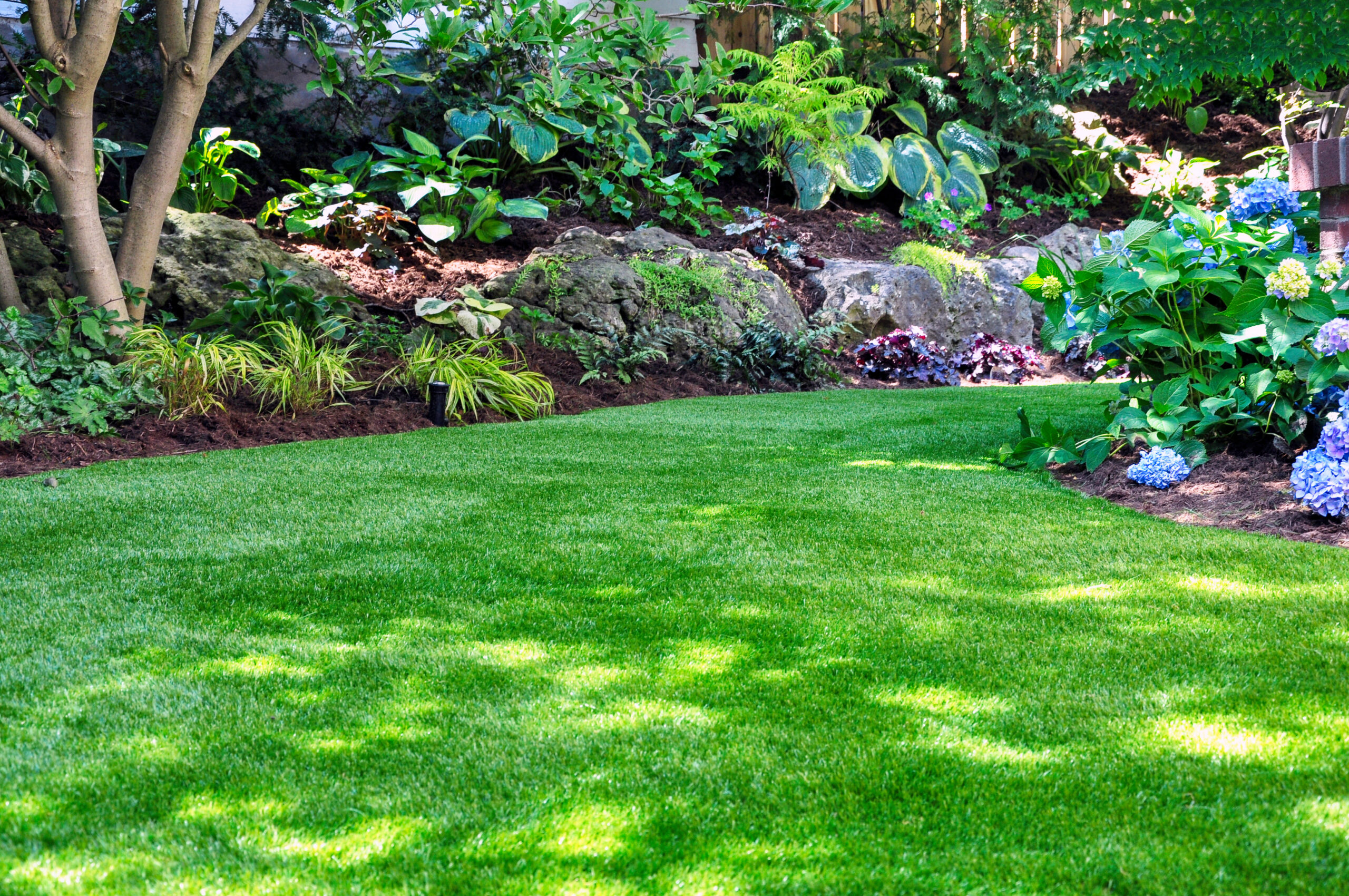 A lush, green lawn with dappled sunlight is bordered by rocks, shrubs, and various leafy plants and flowers, creating a vibrant, well-maintained garden scene.