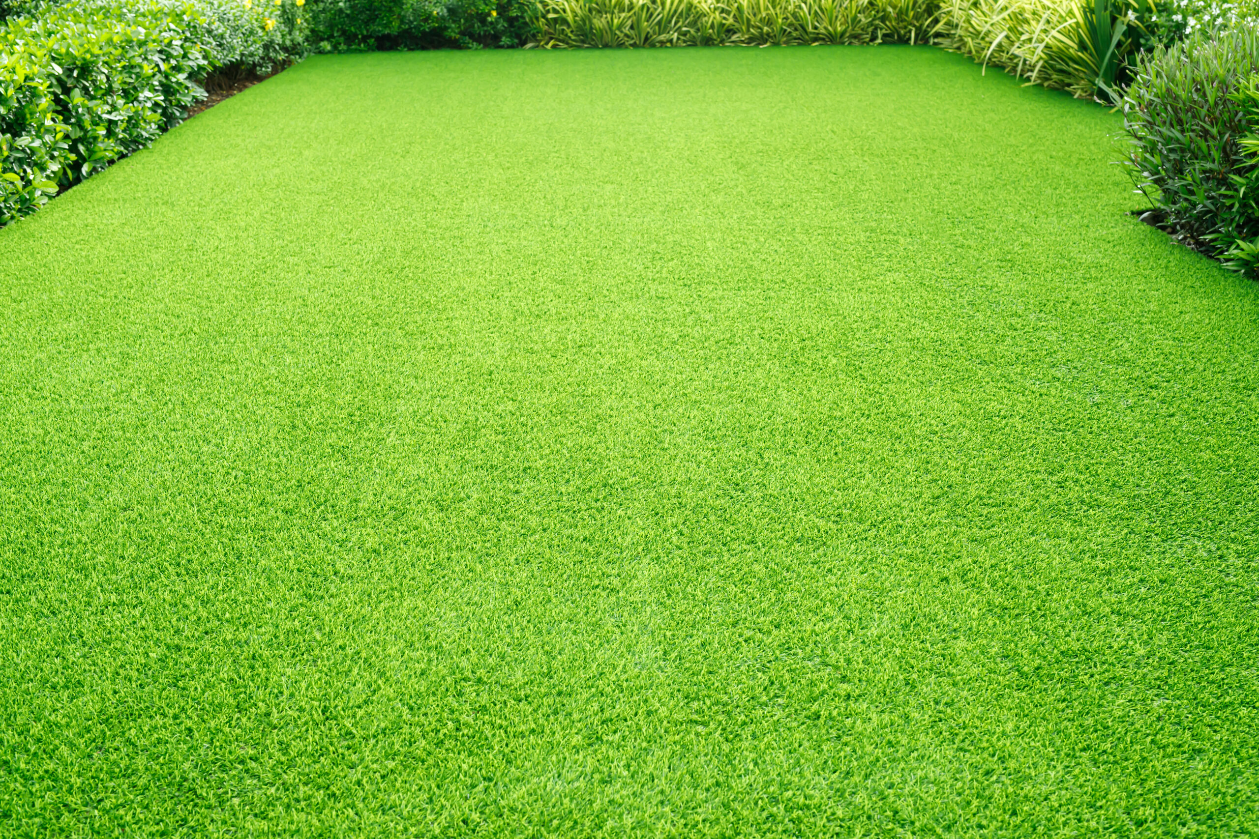 A neatly manicured green lawn surrounded by well-trimmed bushes and plants, with vibrant grass covering the entire center area in a rectangular shape.