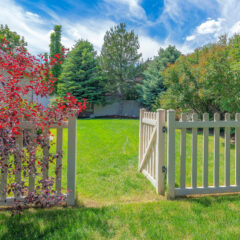A white picket fence with an open gate leads to a lush green backyard bordered by trees and bushes, under a blue sky with wispy clouds.