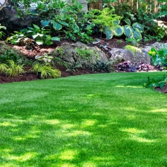 A vibrant, well-maintained lawn bordered by lush green plants, shrubs, and blooming hydrangeas with dappled sunlight casting shadows on the grass.