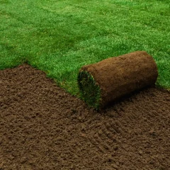 A rolled-up piece of sod is being unrolled onto bare soil, partially covering the ground, with lush green grass already laid out in the background.